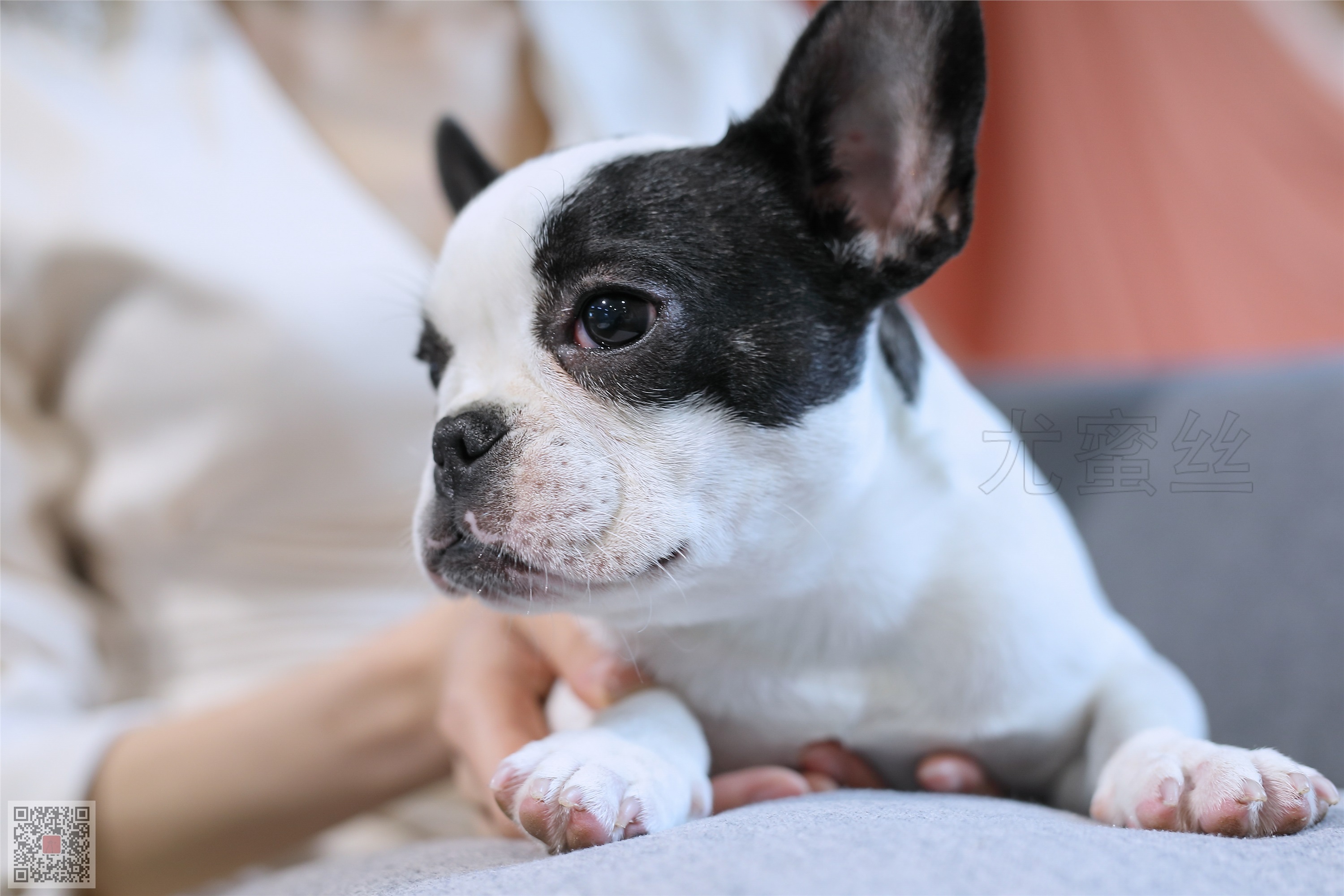 尤蜜丝 穿搭写真 NO.020